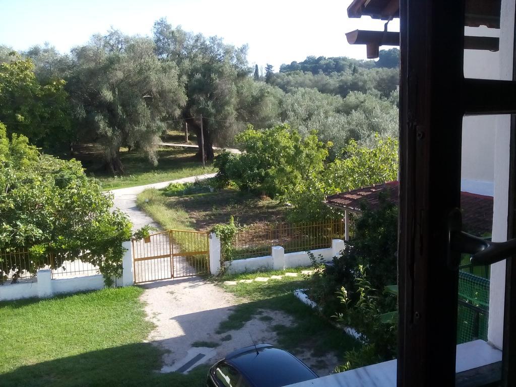 מסונגי Georgina Family Apartments מראה חיצוני תמונה
